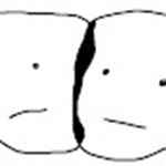 loginniniwi