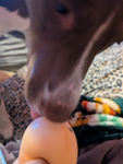 Woofla Club
