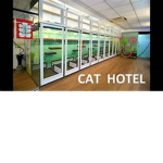 The Cat Hotel And Resort