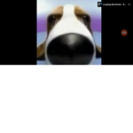 mjmarky09