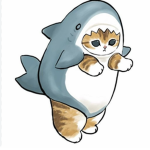 The kitty sharki3s