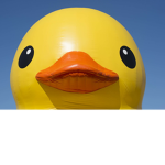 ConductorDuck