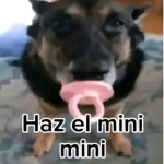 Haz el minimini