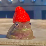 My aesthetic frog friends