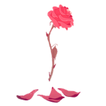 Rose [Ro-Ghoul].