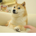 Doge98