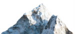 Arctic Management