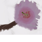 Japanese/Chinese RP Group