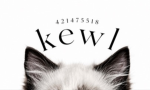 The Kewl Gang.