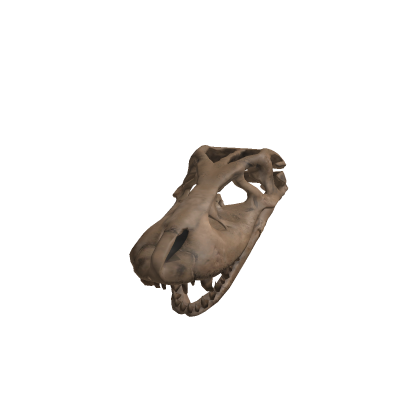 Big Dinosaur Skull Hat