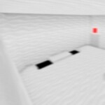 Human Behavior Experiment