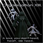 .Organization 13.