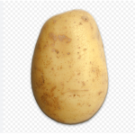 POTATO SQUAD WOOO