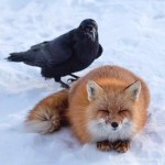 I am da good boy