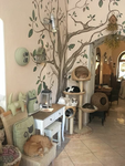 kitty cafe~~