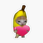 Banana cat fam