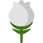 LeEpicStudios