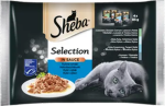 GRUPA CAT