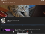 Peppermint The Gaming Cat :)