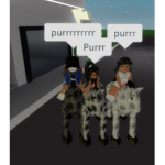 Wsg gang