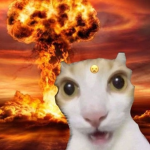 epic_nuclearcat.jpg