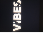 ViBeS GANG