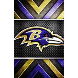 M&T Bank Stadium |RAVENS|