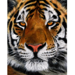 Thailand Tigers
