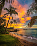 .Tropical Sunset.