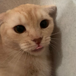 you,