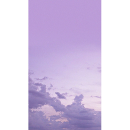 Lavender Hangout !