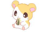 ••Baby hamster's •