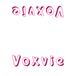 voxvie donation system