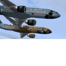 Plane ground