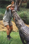 The Crocodile Hunters