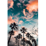 World vero