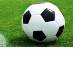 Soccer Fans of Roblox