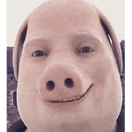 The John Pork Army