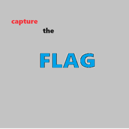 capture the flag