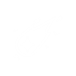 Stargazing Games