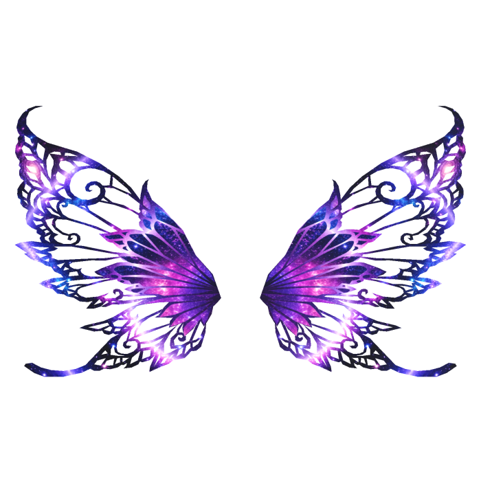 Galaxy Wings