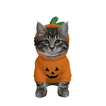 Halloween pumpkin cat