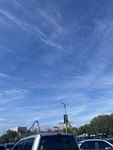 Theme Park Tycoon 2 Goats