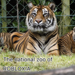 The national zoo of the ROBLOXIA