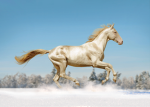 - Cloud stables-