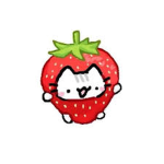 SUNNY STRAWBERRIES!
