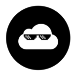 Cool gamer plays games