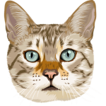 CREATIVE_CATS