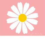daisy sqaud