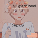 puugss da hood